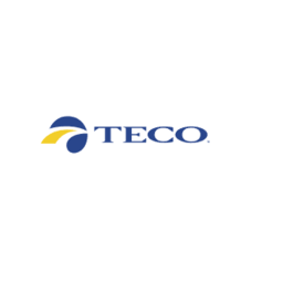 The TECO logo